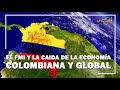 El FMI y la caída de la economía colombiana y global