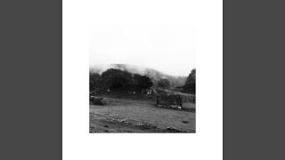 Creep in Slowly (Live)