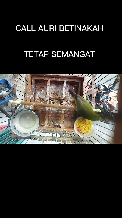 CALL AURI BETINAKAH INI????