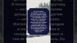 #Амос 4:7-8 #Библия #СтихДня