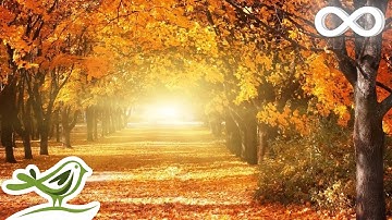 Thumbnail of Beautiful Relaxing Music • Romantic Music, Piano Music, Violin Music, Cello Music, Sleep Music #93