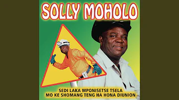 Sedi Laka