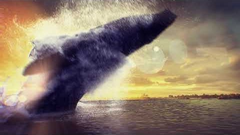 Houdini whale jump #water #simulation