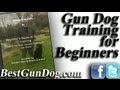 Gun Dog Training For The Beginner Gun Dog Training For The Beginner