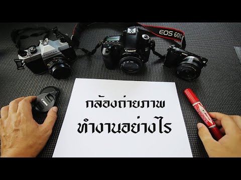 วีดีโอ: การแสดงภาพทำงานอย่างไร