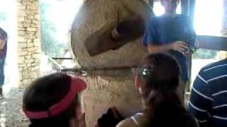 Video0156.3gp