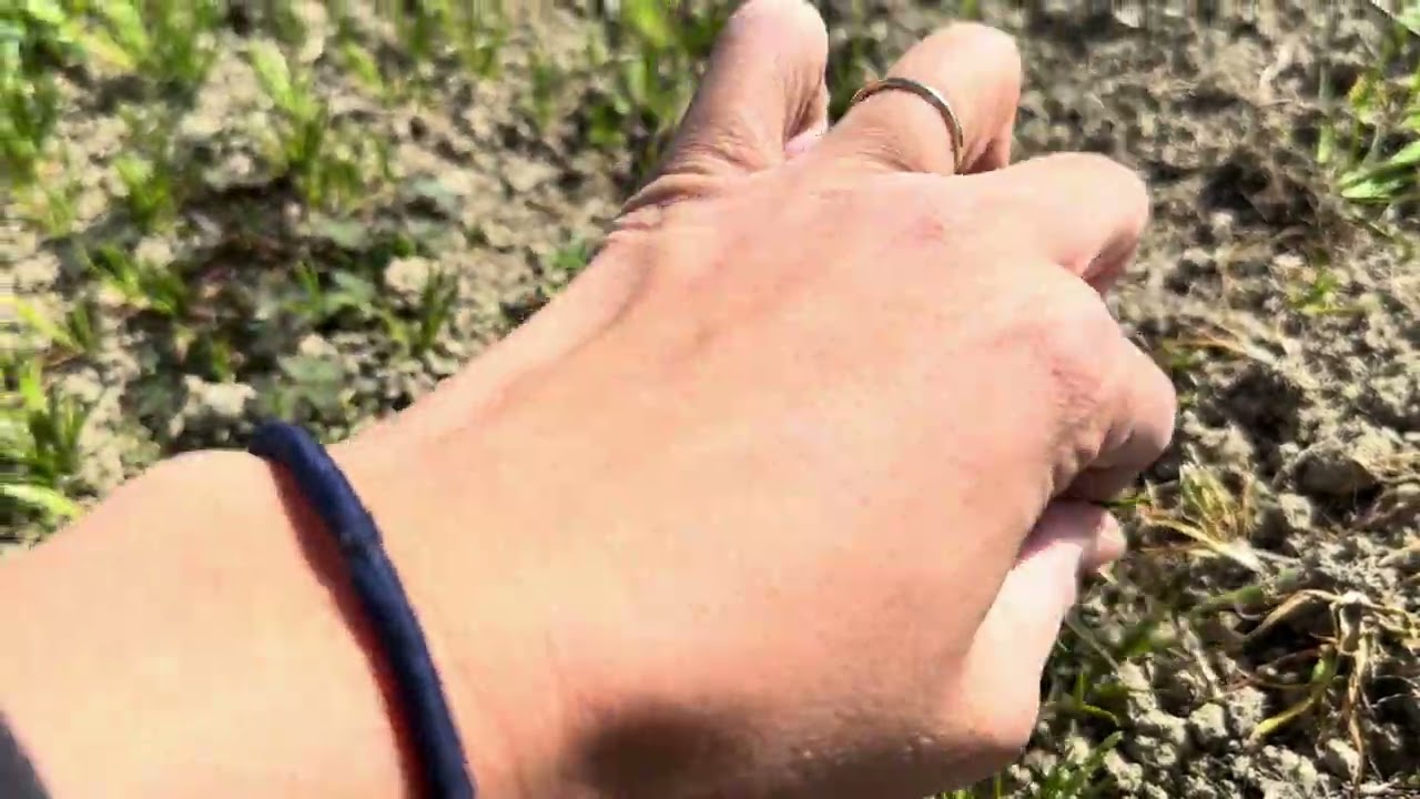 るみっぺ畑(元田んぼ畑)