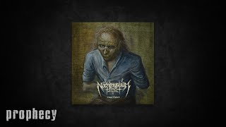 Nachtmystium - Desert Illumination