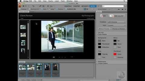 ADOBE BRIDGE WEB ALBUM TUTORIAL