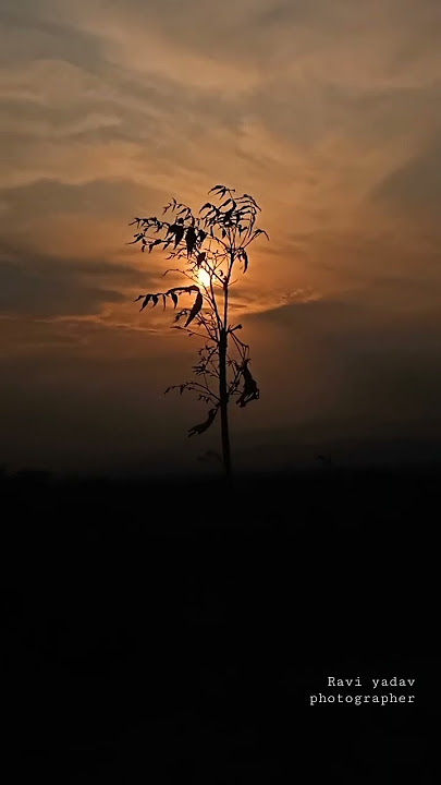 NATURE X CREATION ORIGINAL AUDIO REEL EDITING | INSTAGRAM NEW TRENDING NATURE X CREATIOL REEL