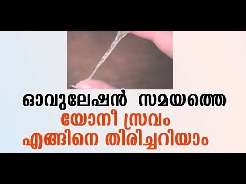 ഓവുലേഷന്-സ്രവം-എങ്ങിനെ-തിരിച്ചറിയാം-|-സെര്വിക്കല്-മ്യൂകസ്-ആരോഗ്യവും-ഗര്ഭ-ധാരണവും