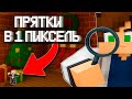😱Мы Сыграли в В ПИКСЕЛЬ Прятки в Майнкрафт и это НЕВОЗМОЖНО! НУБ И ПРО