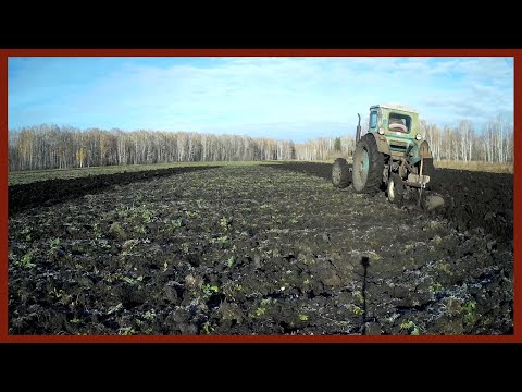 Vídeo: Lavoura De Outono