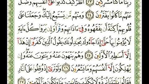 سورة الأنعام 6 - 114 شيرزاد عبد الرحمن طاهر - قراءة مرتلة