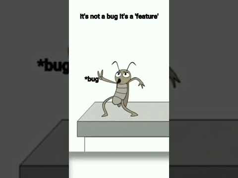 Programmer Only Understand