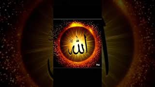 love duet unfrezzmyaccount