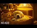 Deep Sleep Music For Dog Help Your Dog Sleep Better Tonight Relaxing Pet Music
