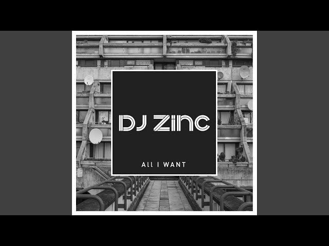 DJ Zinc - All I Want w 500 Electronic Hits