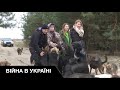 Як українці рятують та піклуються про тварин під час війни