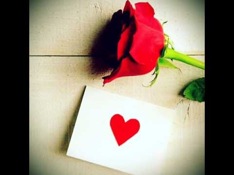    احسان كلوانى زندونى