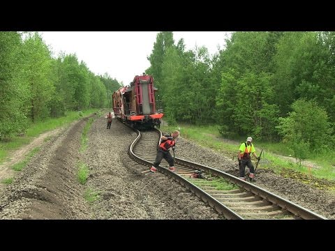 Видео: Инженерни клетъчни фабрики за производство на строителни химикали за синтез на биополимери