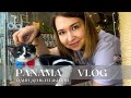 Vlog 7. Один день со мной в Панаме | Котокафе |