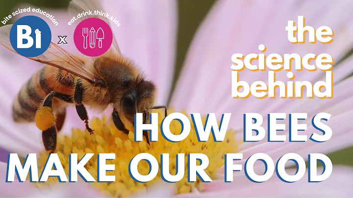 THE SCIENCE BEHIND BEES & FOOD: How do Bees Make our Food?