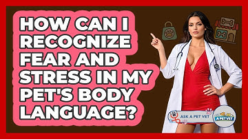 How Can I Recognize Fear And Stress In My Pet