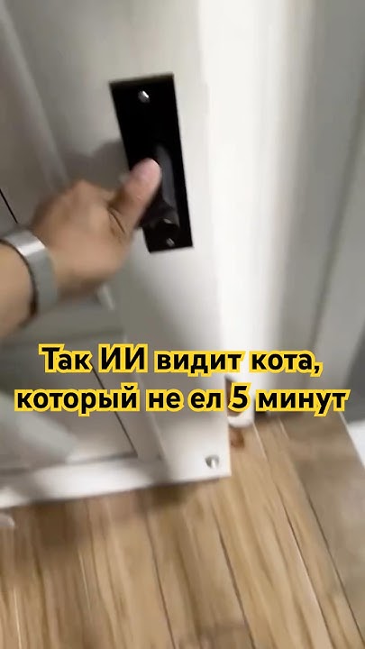 Нейросеть показала типичного кота, которого не кормили 5 минут - YouTube