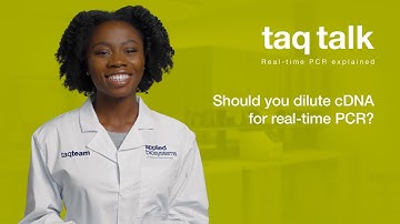 Should you dilute cDNA for real-time PCR?--Taq Talk Episode 26