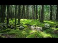 Woven Fates | Emotional Cinematic Orchestral Music | Inspirational Journey Soundtrack