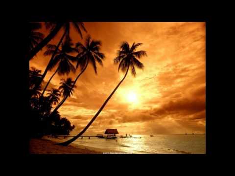 Pitbull Feat. Dj Moonwish - Calle Ocho (Cha cha cha).wmv