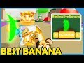 Buying The Max Power Radioactive Banana In Roblox Banana Simulator