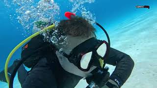 Ultimate Travel guide to Bonaire 2026 Best diving and fun on caribbean island .Video: Aleš Sulič