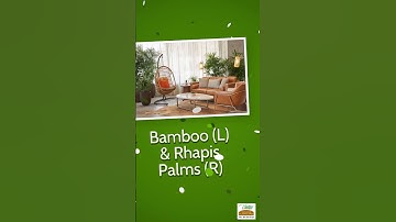 Biophilic Design