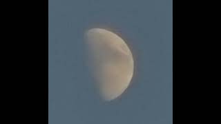 Alec f
