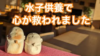 水子供養で心が救われました #水子供養 #人生 #親子 - YouTube