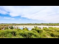 Farm Time Lapse