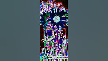 #music #logical  #children