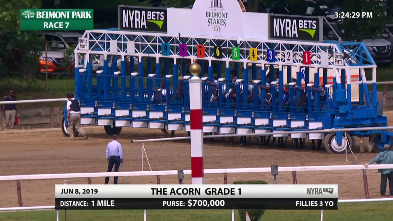 horse racing news Guarana - 2019 - The Acorn Stakes en Espanol