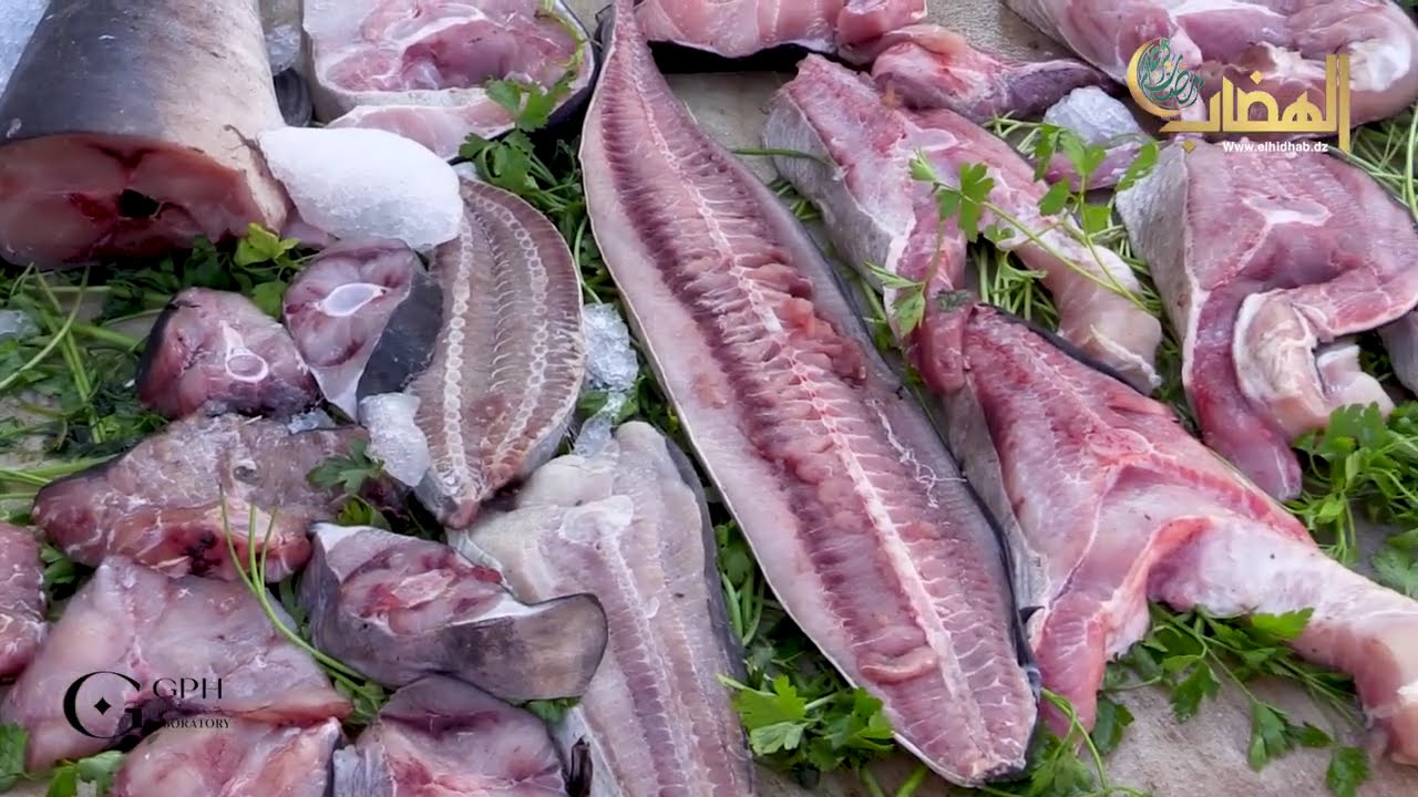 من كارطي الحواتة بـ #سطيف 🐟🦐 .. #شاهد  أسعار السردين و مختلف أنواع الأسماك الأخرى في شهر #رمضان 🌙