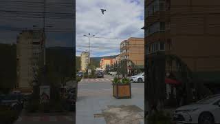 Câmpulung Moldovenesc