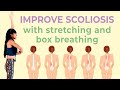 10 Min Easy Standing Stretches for Scoliosis ♥ Daily Exercise (Upper Body)