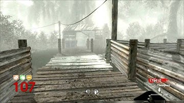 World at War Zombies | Shi No Numa | Round 110