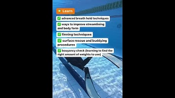 Dynamic and Static - Freediving #shorts #freediving