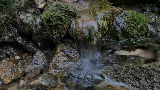 Leises Geplätscher eines Bachs | Naturgeräusche zum Entspannen und Einschlafen #asmr screenshot 2