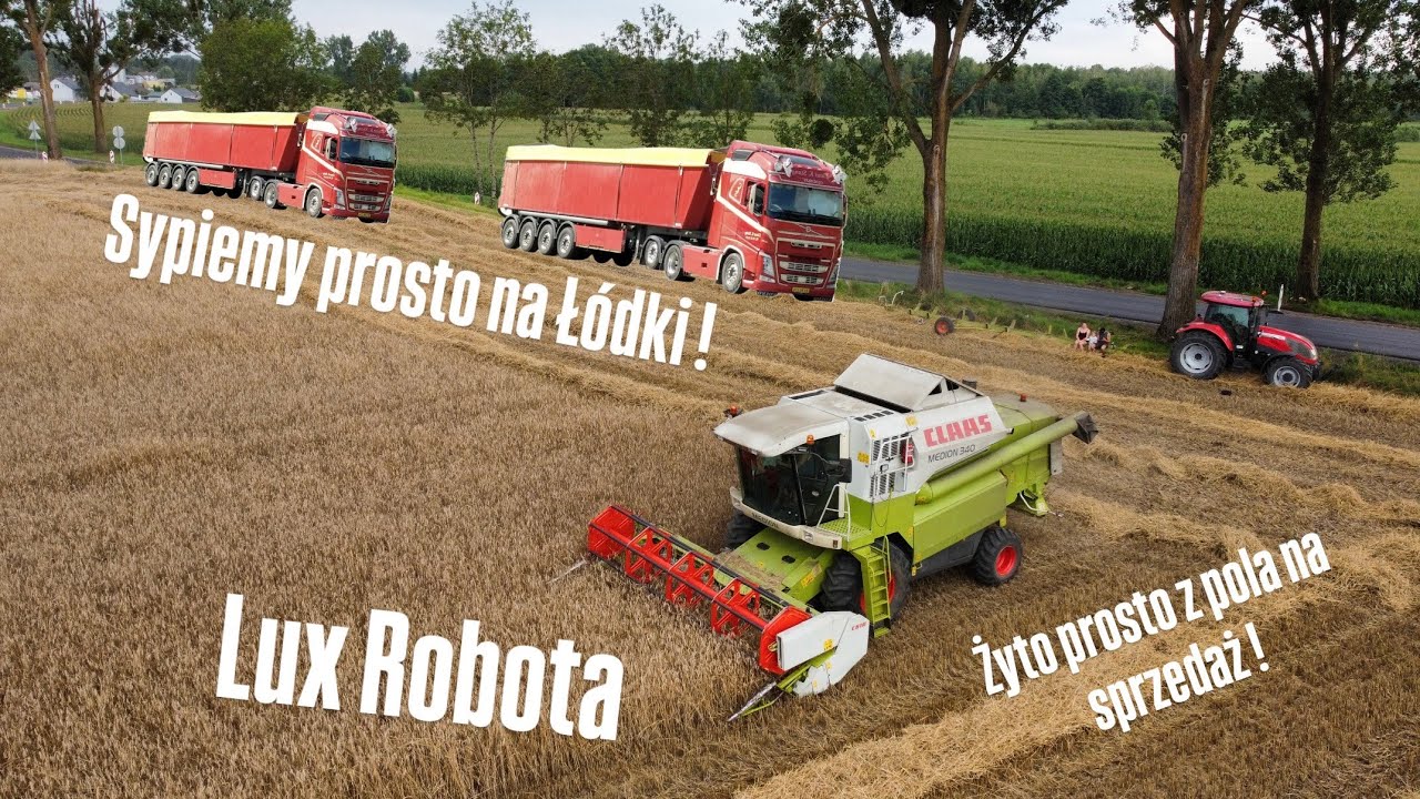 Sypiemy prosto na Łódki!🔥 Sprzedaż żyta prosto z Pola?! żniwa żniwa i po żniwach
