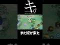 キ。嫌われる勇気について #ポケモンユナイト #pokemonunite