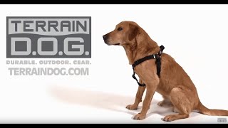 Terrain D.O.G Heavy Duty Dog Harness 