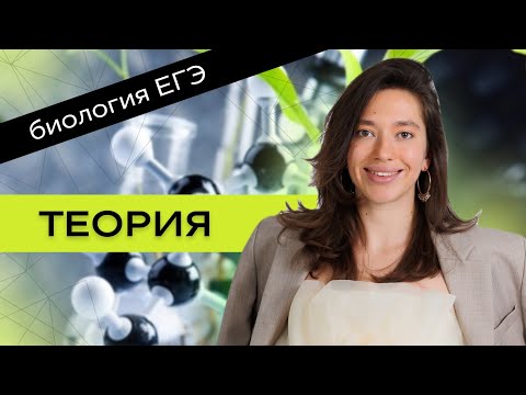 Биокурс ЕГЭ: Покрытосеменные